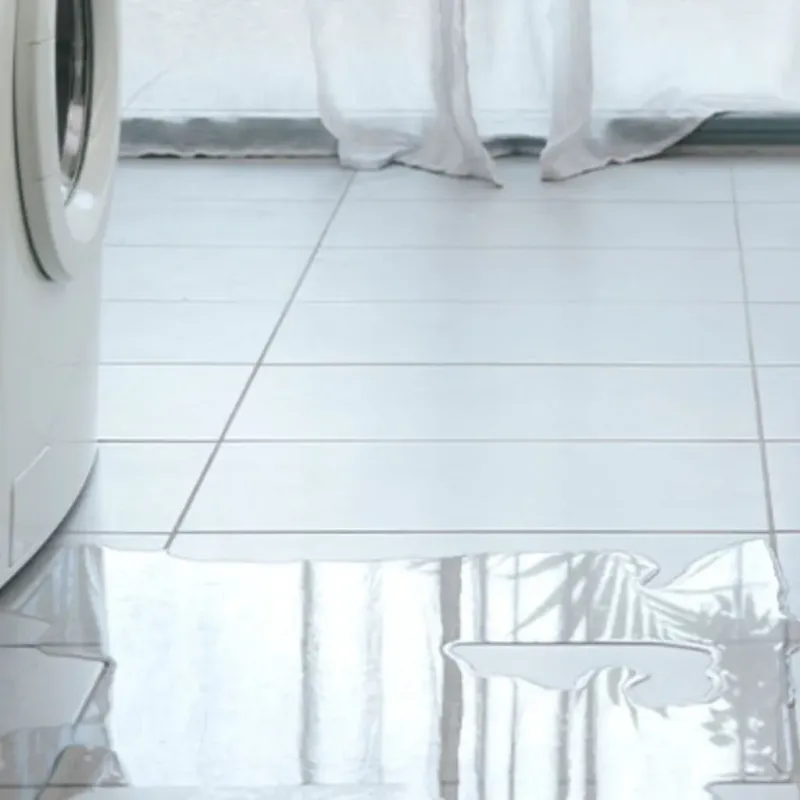 Appliance Leak Cleanup in Trafalgar, IN