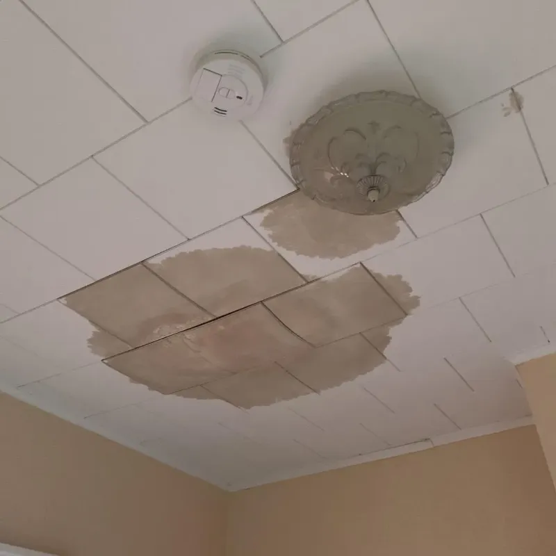 Ceiling Water Damage Repair in Trafalgar, IN