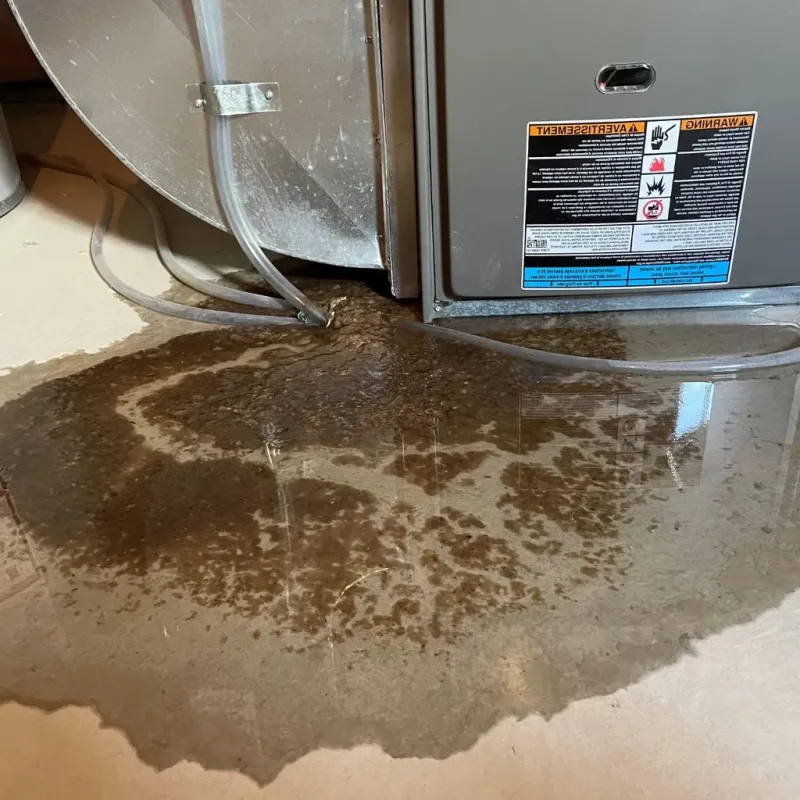 Pipe Burst and Leak Restoration in Trafalgar, IN