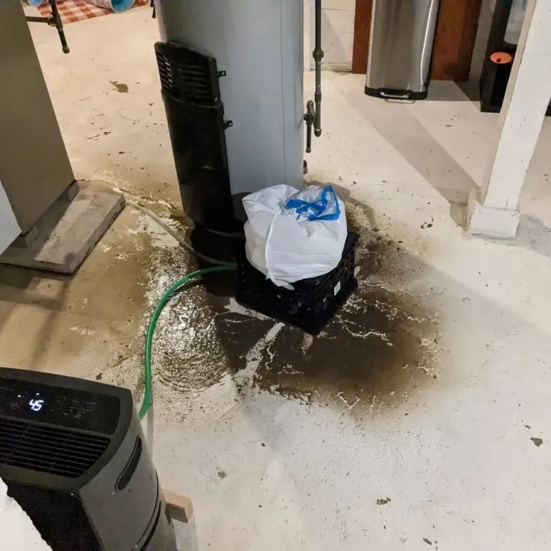 Sewage Backup Cleanup Service in Trafalgar, IN
